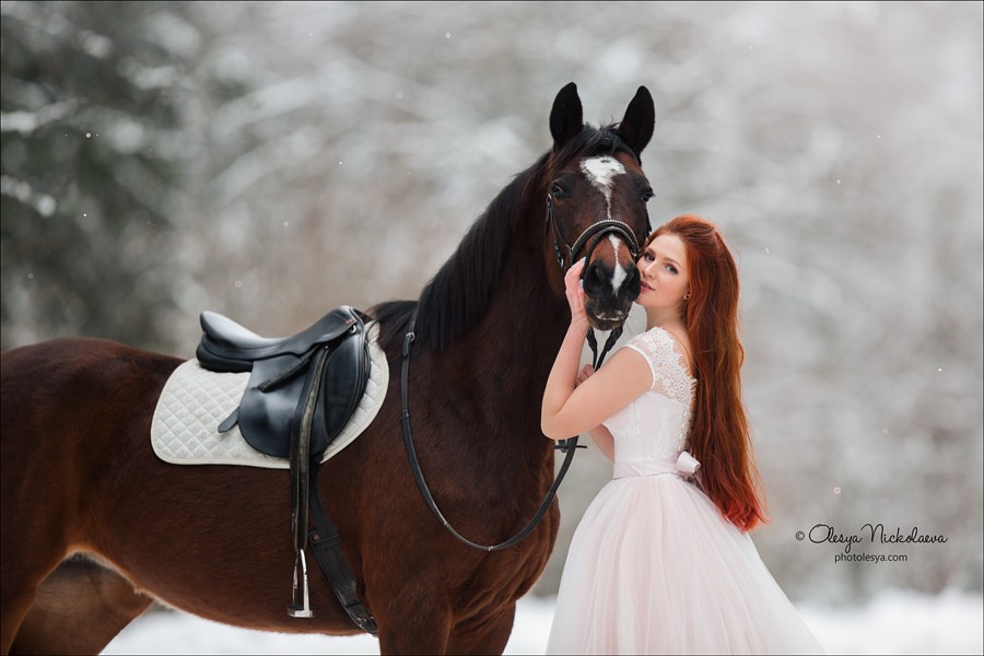 фотосессии с лошадьми ◆ horse and human