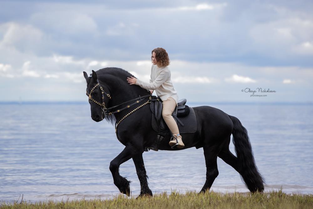  фотосессии с лошадьми ◆ horse and human
