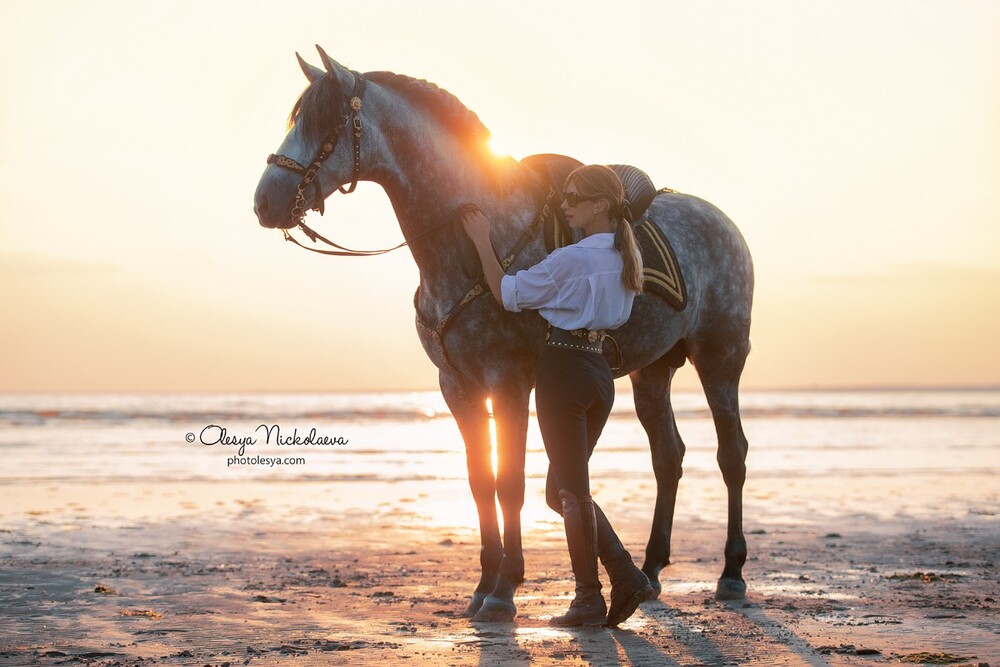 фотосессии с лошадьми ◆ horse and human