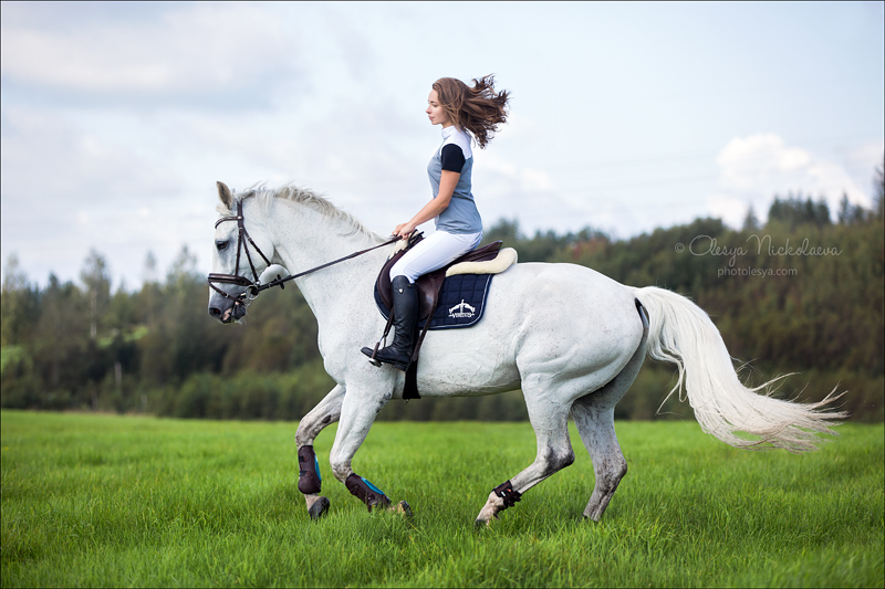  фотосессии с лошадьми ◆ horse and human
