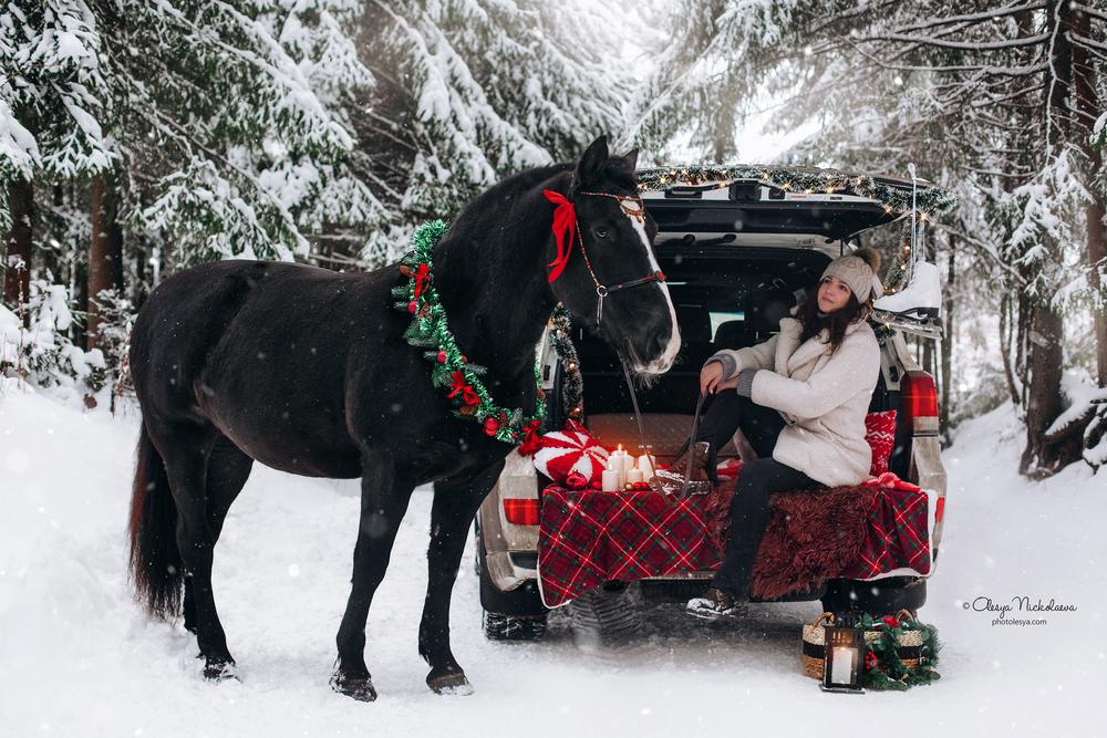  фотосессии с лошадьми ◆ horse and human
