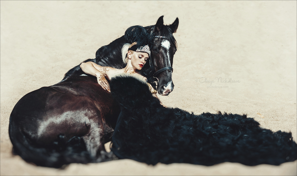  фотосессии с лошадьми ◆ horse and human