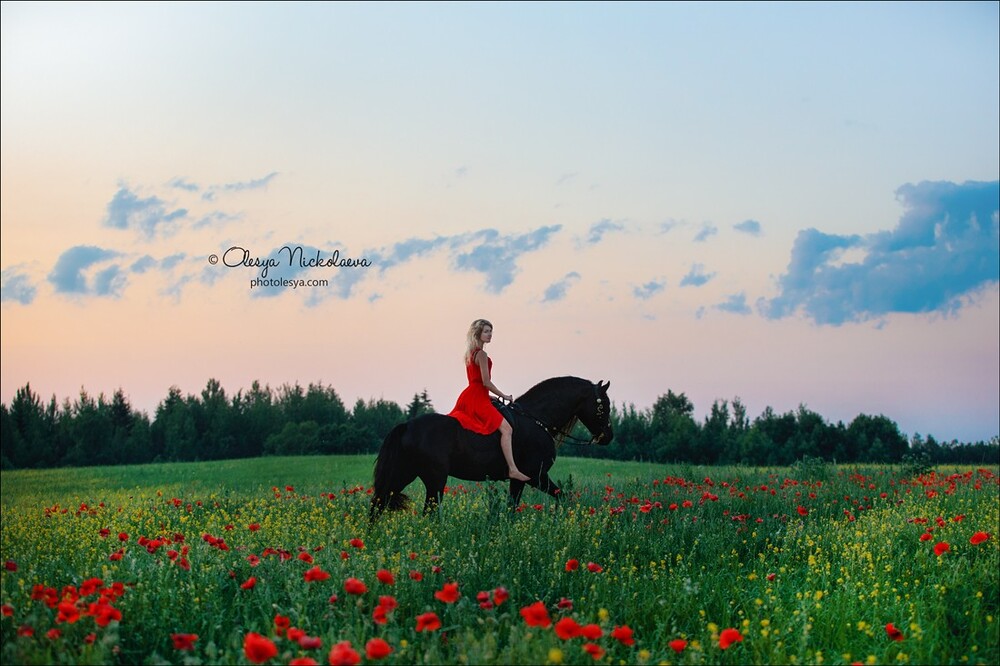  фотосессии с лошадьми ◆ horse and human