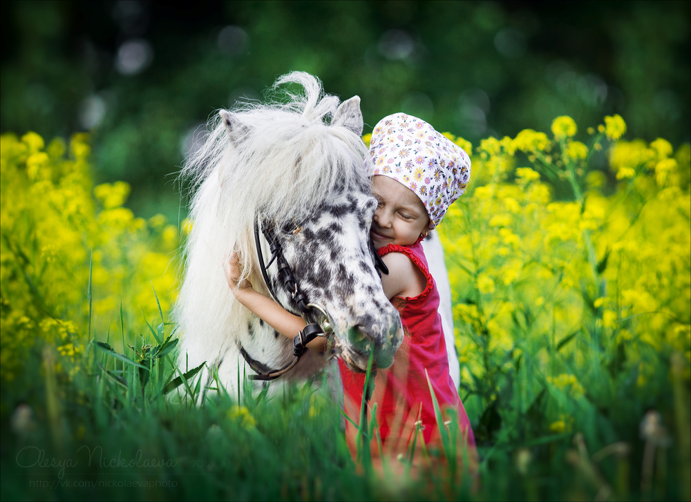  фотосессии с лошадьми ◆ horse and human