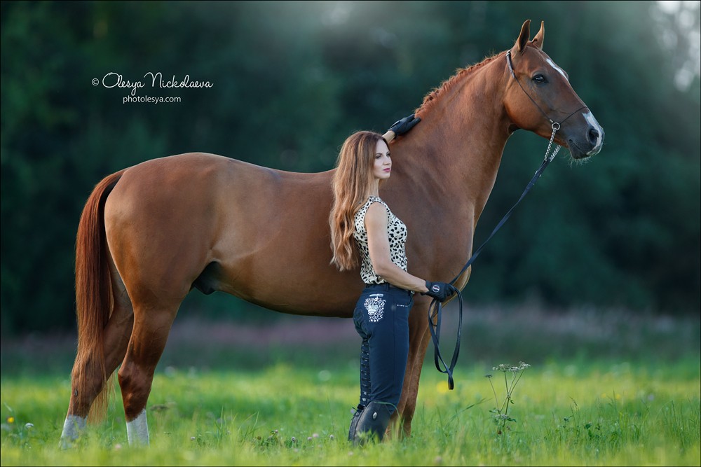  фотосессии с лошадьми ◆ horse and human