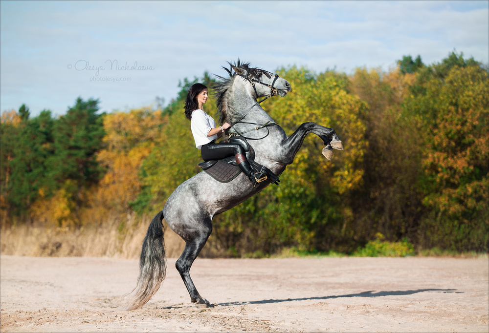  фотосессии с лошадьми ◆ horse and human