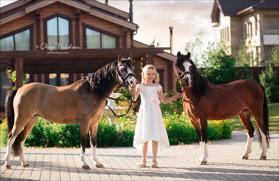  фотосессии с лошадьми ◆ horse and human