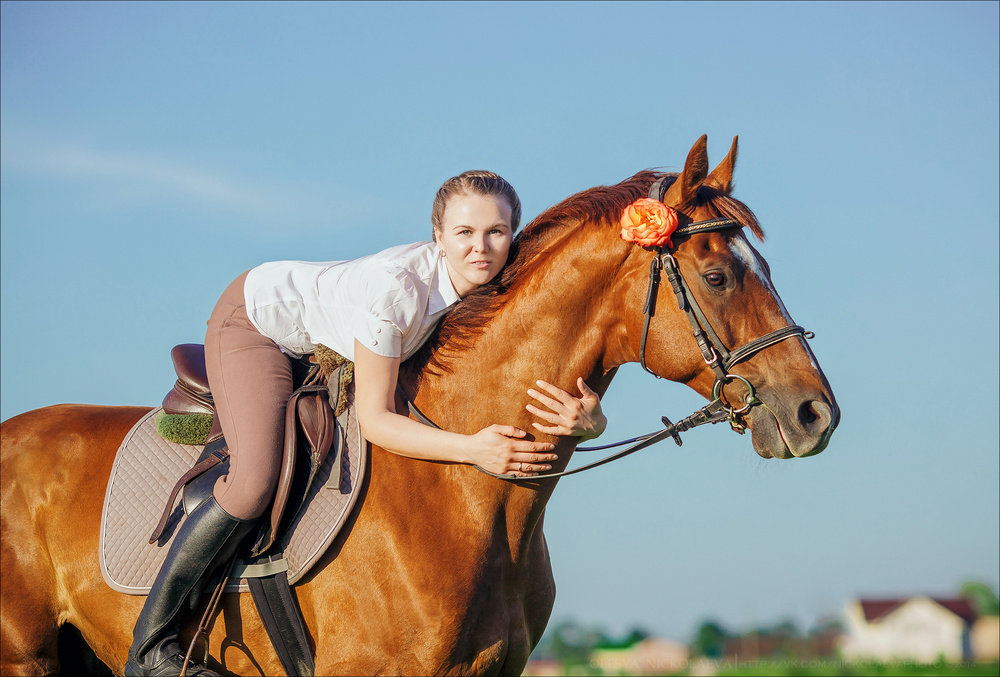  фотосессии с лошадьми ◆ horse and human