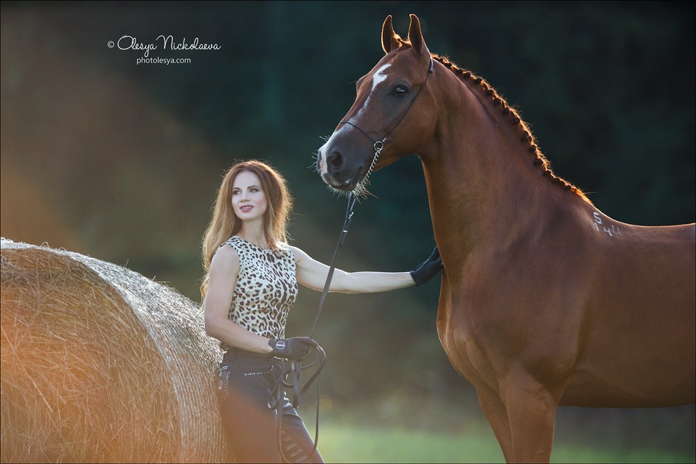  фотосессии с лошадьми ◆ horse and human