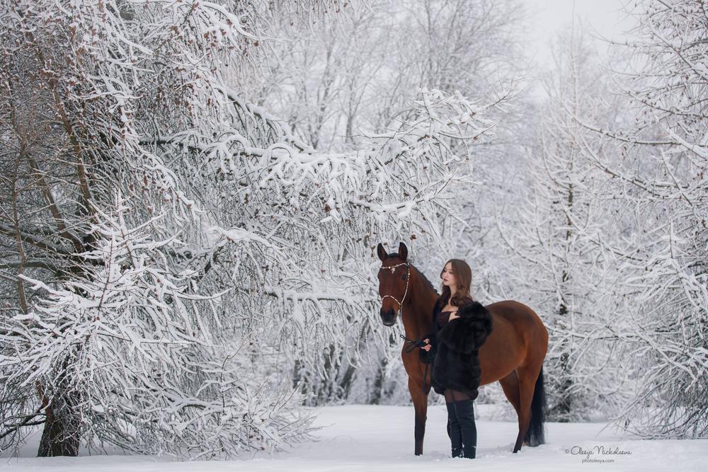  фотосессии с лошадьми ◆ horse and human