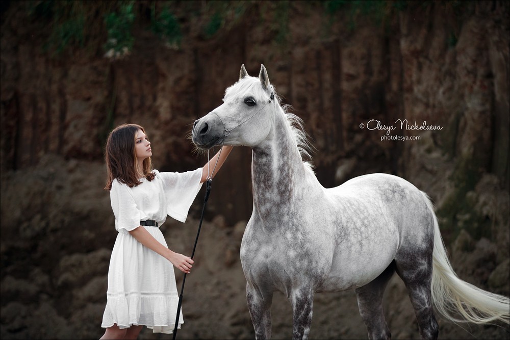  фотосессии с лошадьми ◆ horse and human