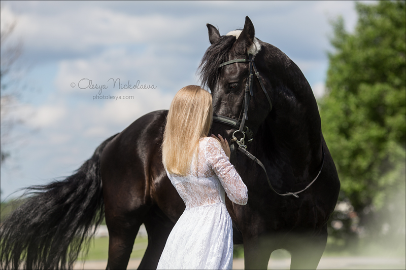  фотосессии с лошадьми ◆ horse and human