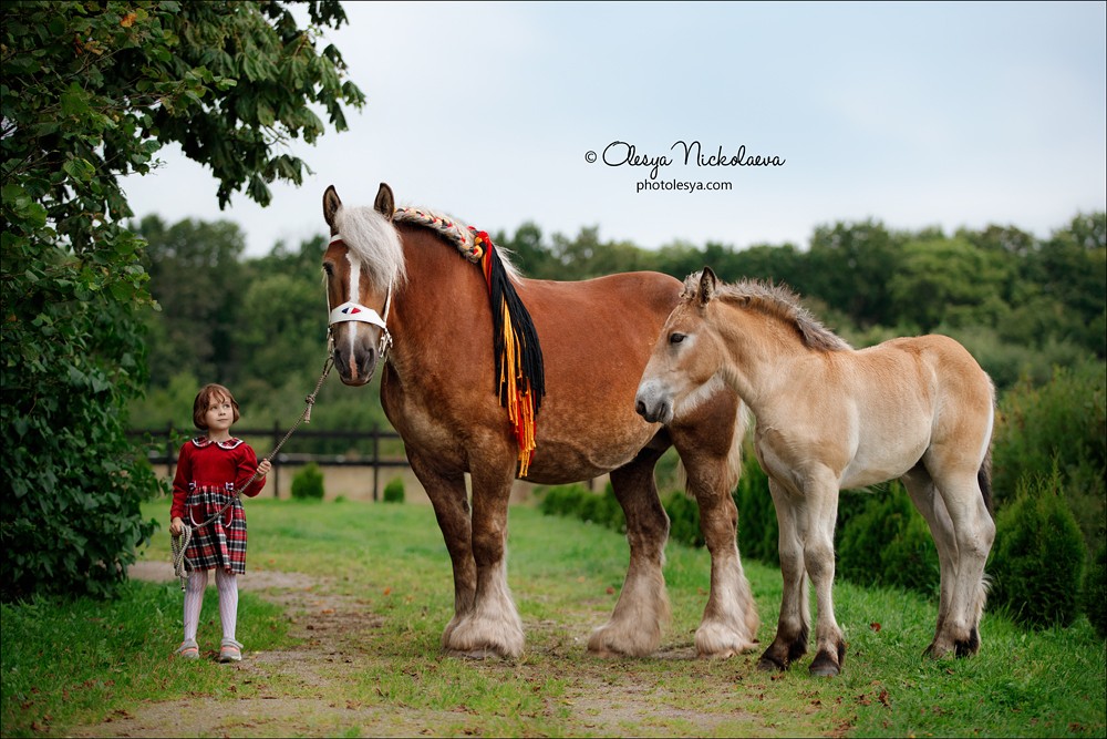  фотосессии с лошадьми ◆ horse and human