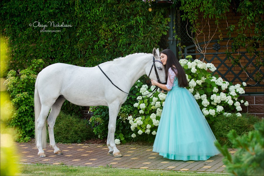  фотосессии с лошадьми ◆ horse and human