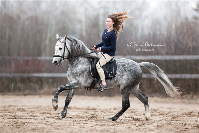  фотосессии с лошадьми ◆ horse and human