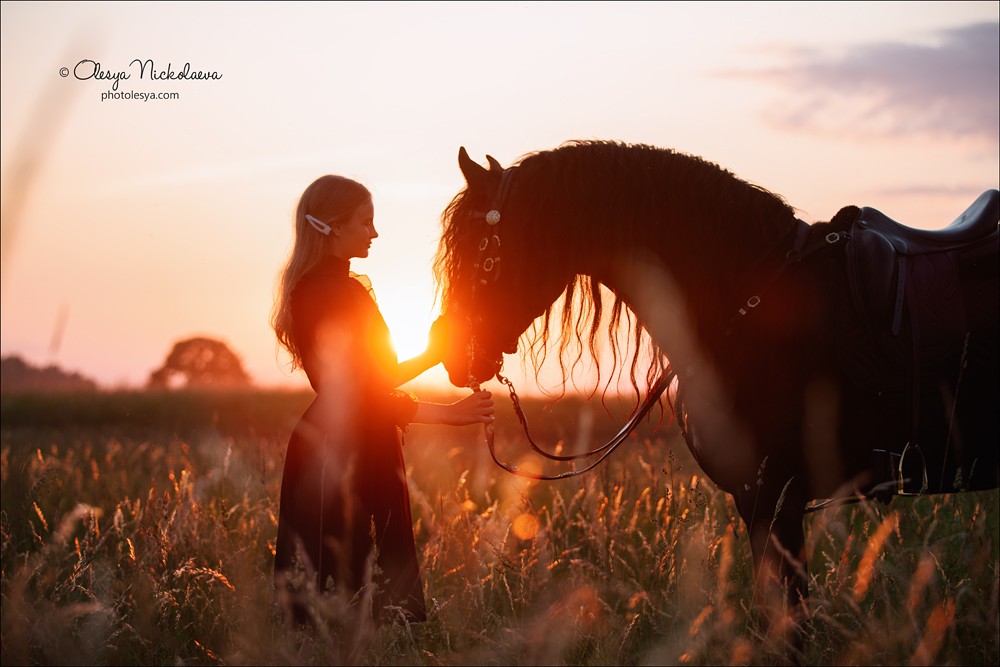  фотосессии с лошадьми ◆ horse and human