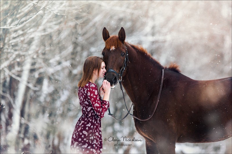  фотосессии с лошадьми ◆ horse and human
