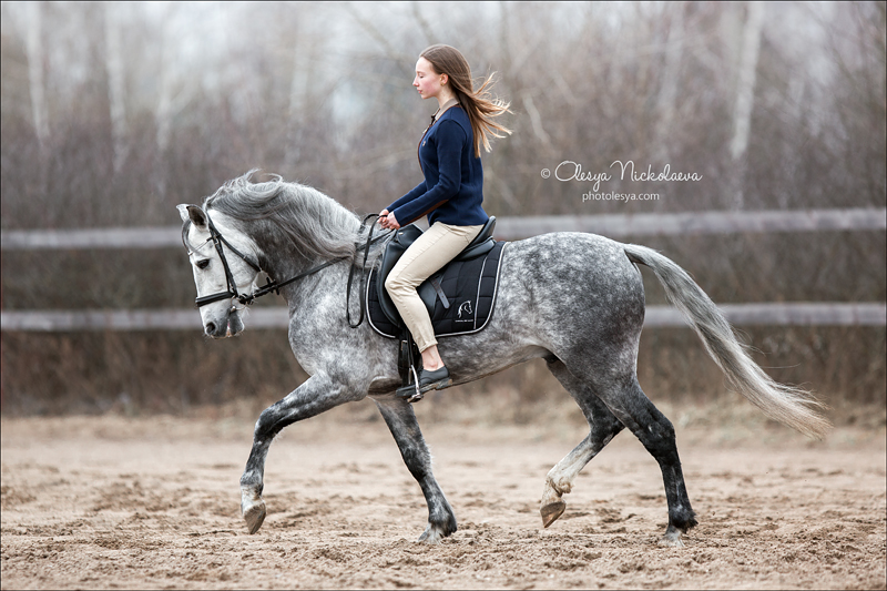  фотосессии с лошадьми ◆ horse and human