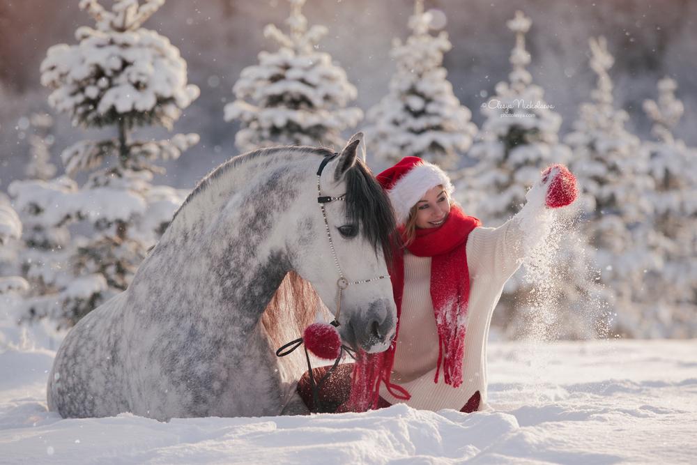  фотосессии с лошадьми ◆ horse and human