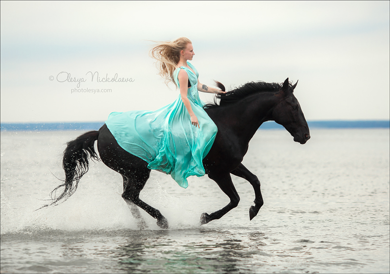  фотосессии с лошадьми ◆ horse and human