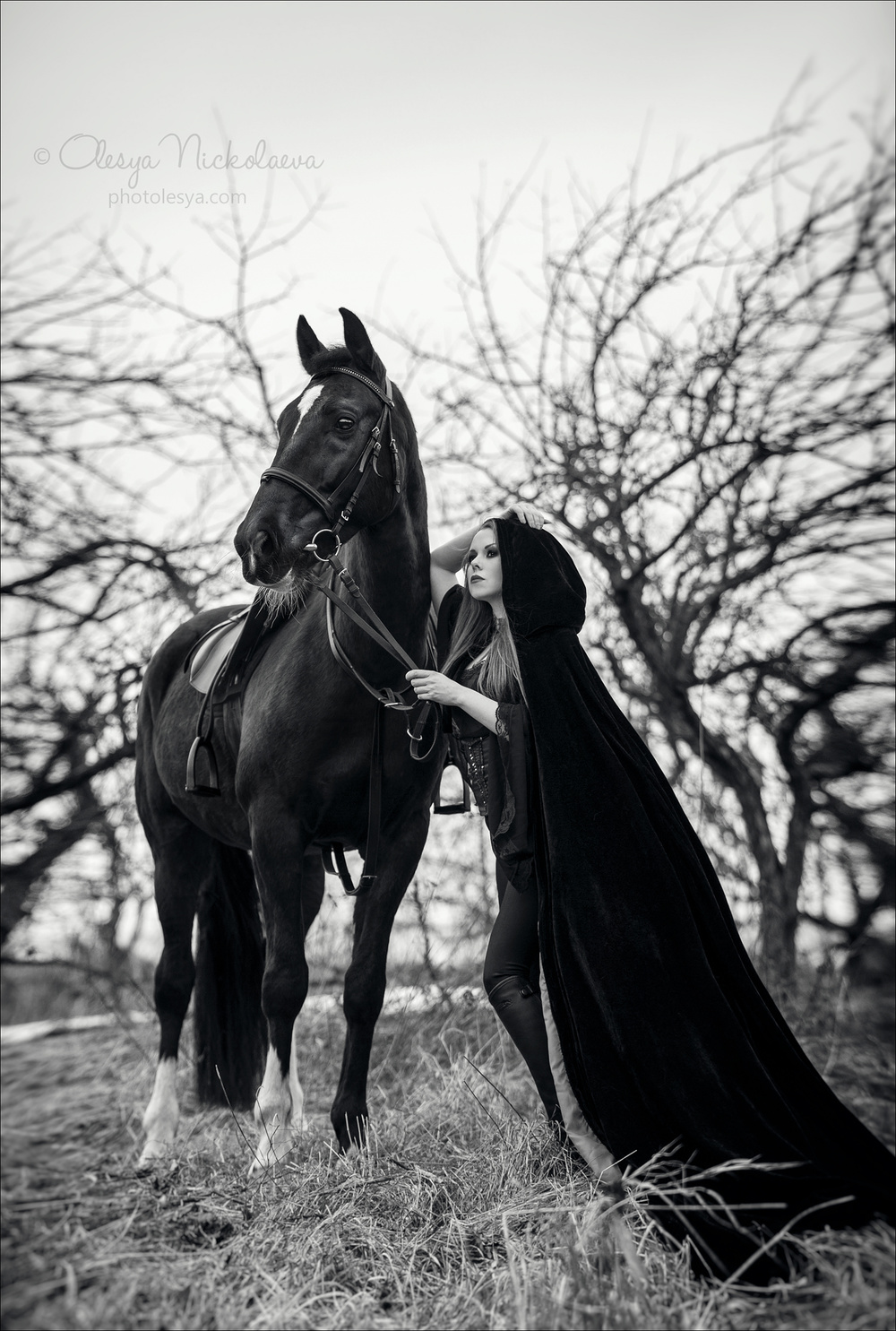  фотосессии с лошадьми ◆ horse and human