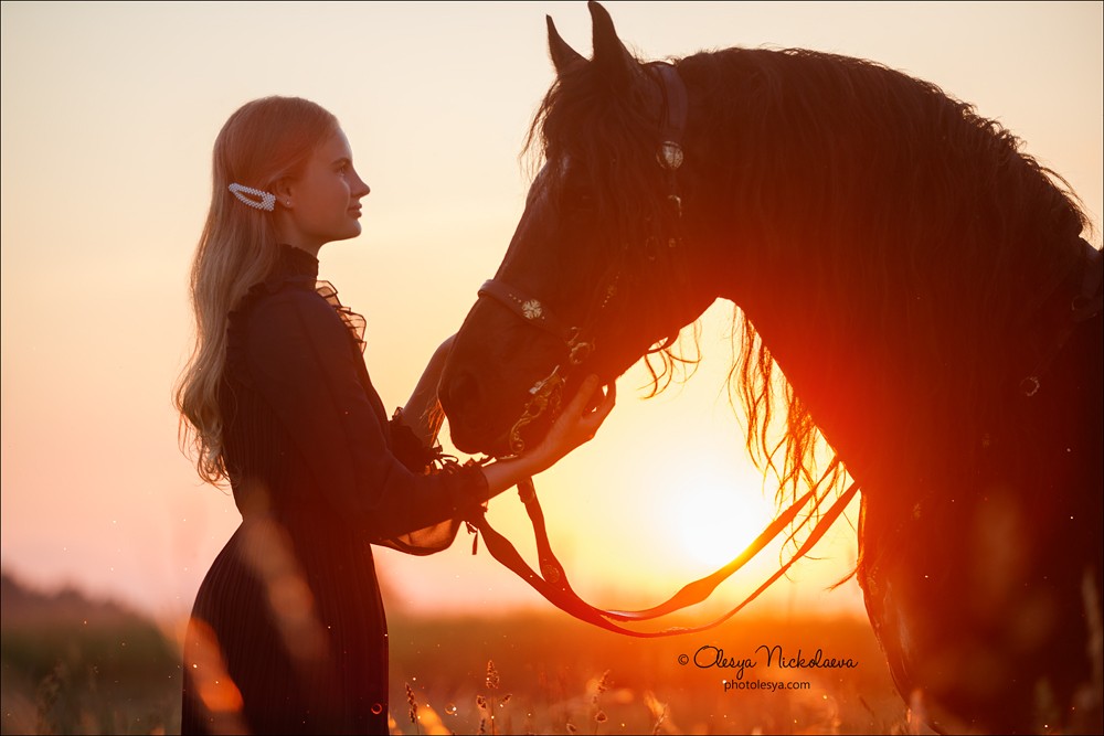  фотосессии с лошадьми ◆ horse and human