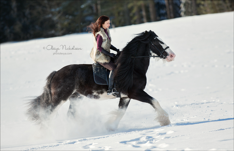  фотосессии с лошадьми ◆ horse and human