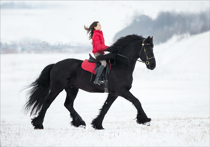  фотосессии с лошадьми ◆ horse and human