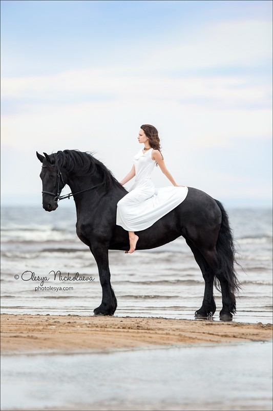  фотосессии с лошадьми ◆ horse and human