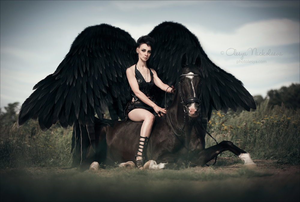  фотосессии с лошадьми ◆ horse and human