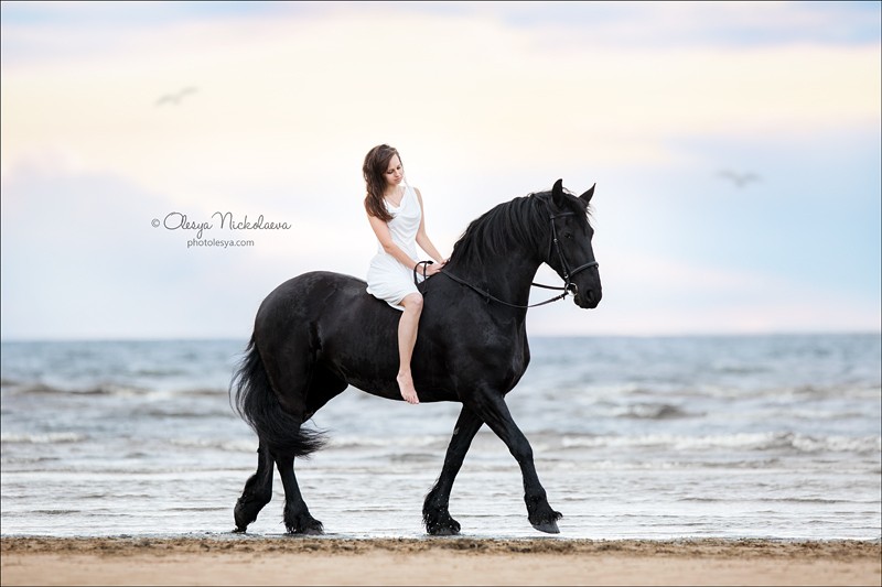  фотосессии с лошадьми ◆ horse and human