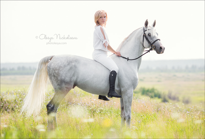  фотосессии с лошадьми ◆ horse and human