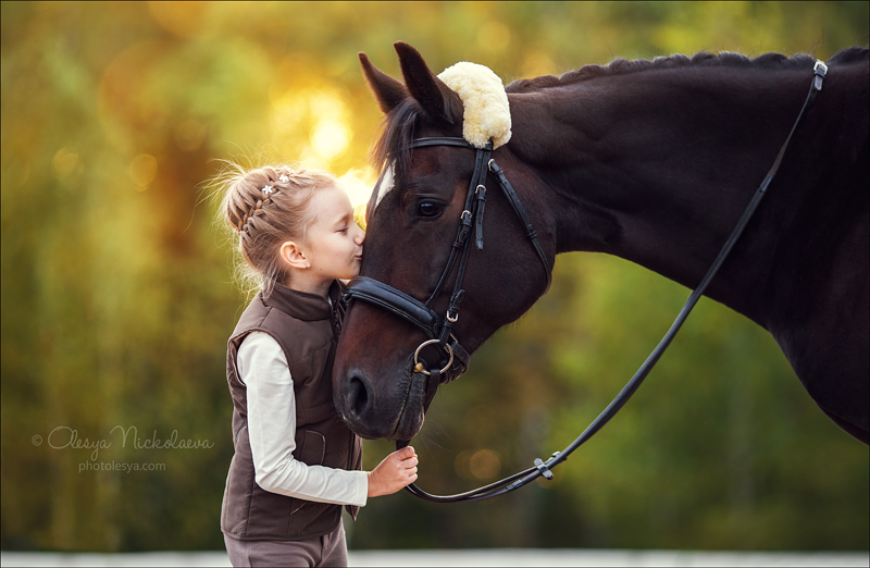  фотосессии с лошадьми ◆ horse and human