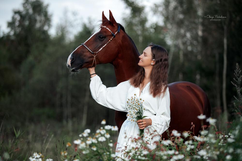  фотосессии с лошадьми ◆ horse and human