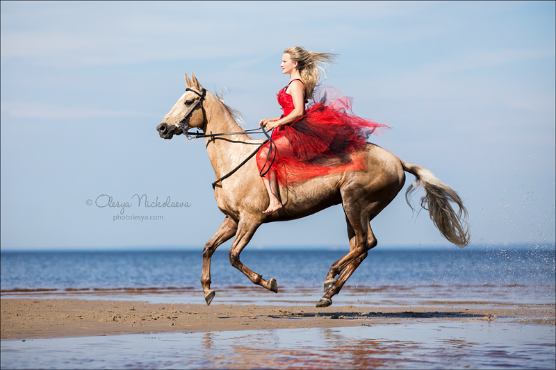  фотосессии с лошадьми ◆ horse and human