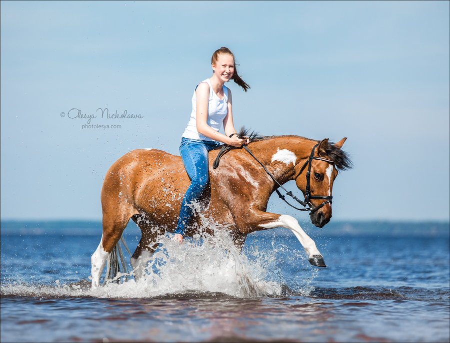  фотосессии с лошадьми ◆ horse and human