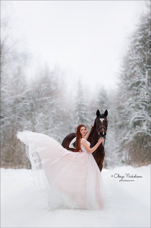  фотосессии с лошадьми ◆ horse and human