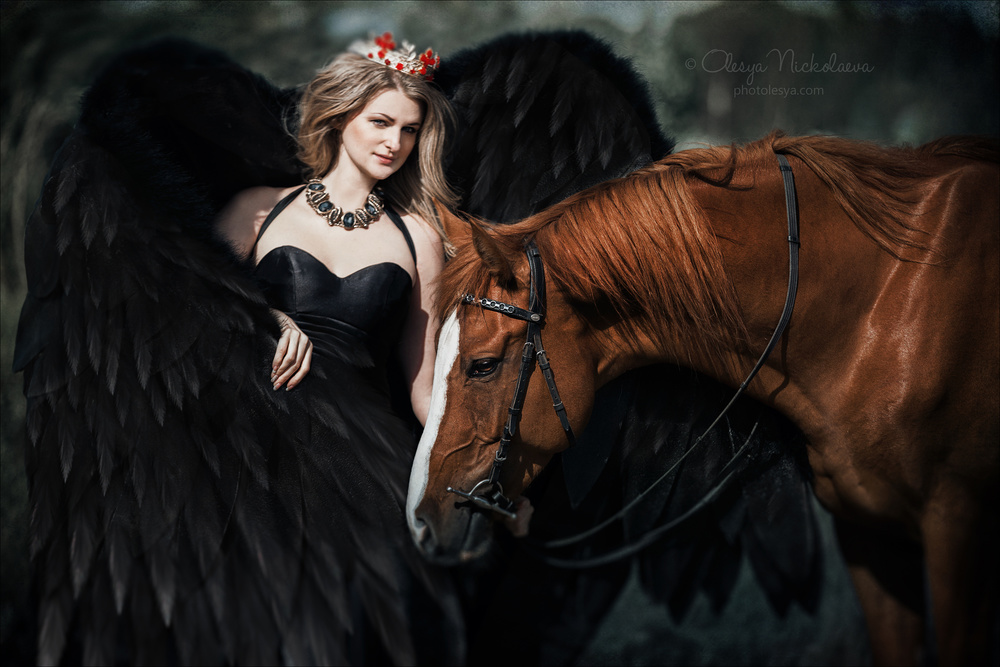  фотосессии с лошадьми ◆ horse and human