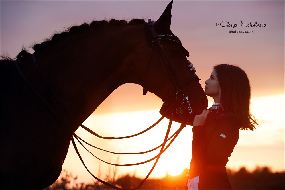  фотосессии с лошадьми ◆ horse and human