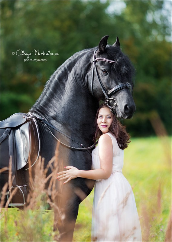  фотосессии с лошадьми ◆ horse and human