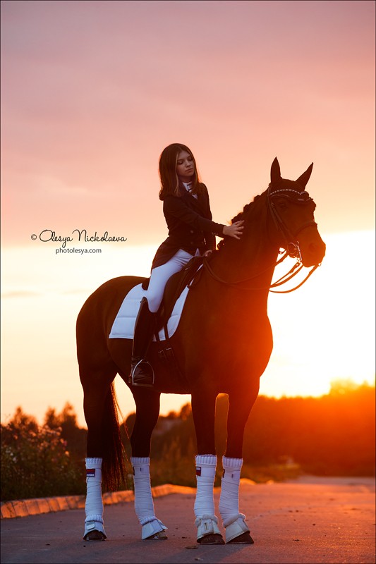  фотосессии с лошадьми ◆ horse and human