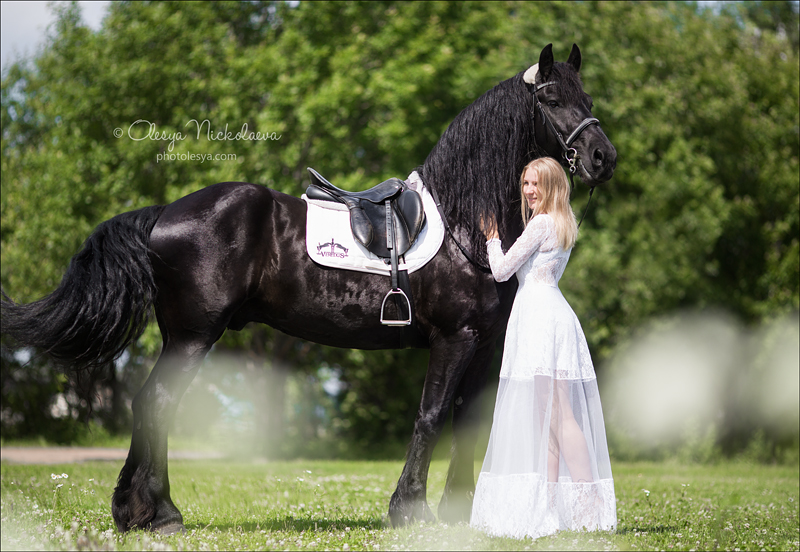  фотосессии с лошадьми ◆ horse and human