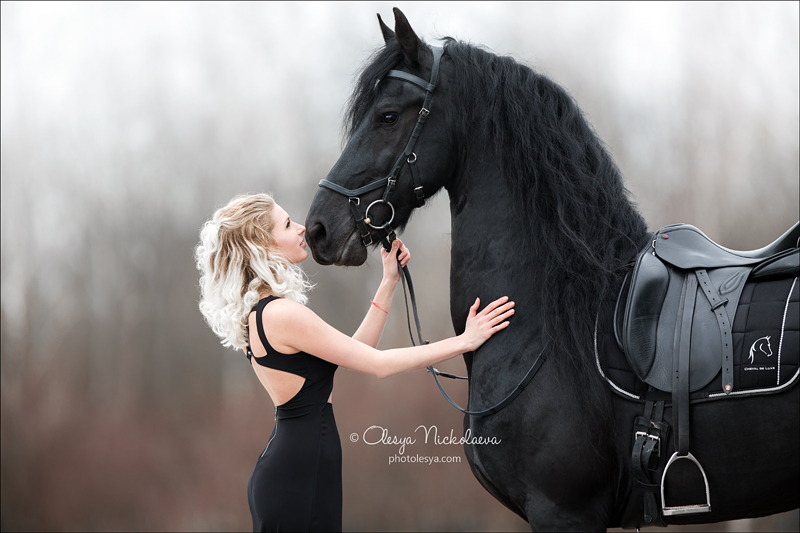  фотосессии с лошадьми ◆ horse and human