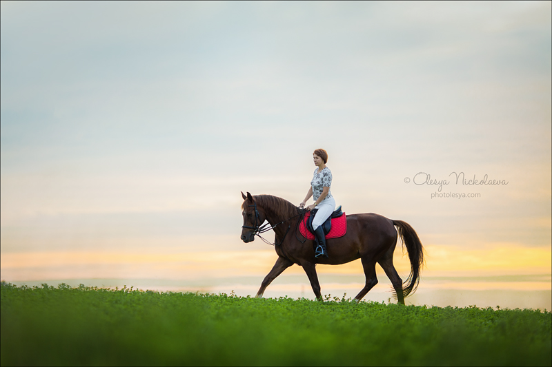  фотосессии с лошадьми ◆ horse and human