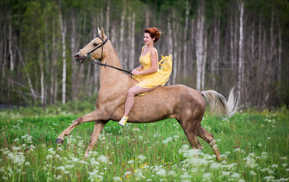  фотосессии с лошадьми ◆ horse and human