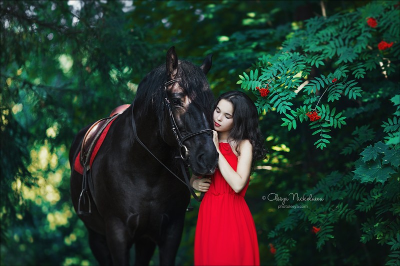  фотосессии с лошадьми ◆ horse and human