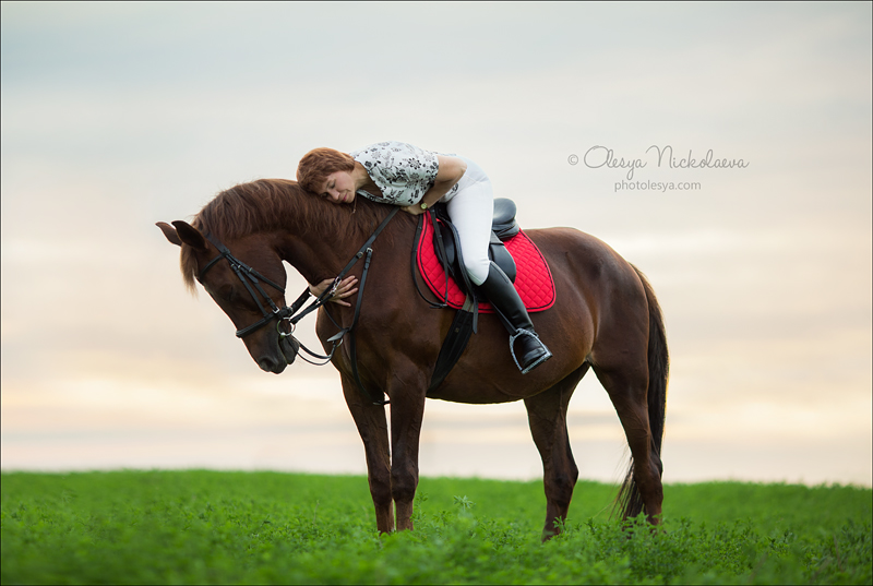  фотосессии с лошадьми ◆ horse and human