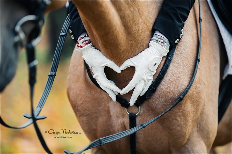  фотосессии с лошадьми ◆ horse and human