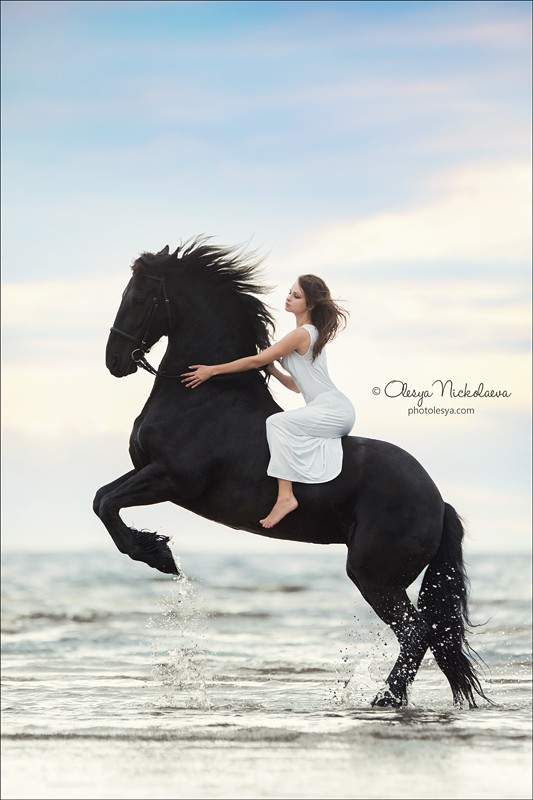  фотосессии с лошадьми ◆ horse and human