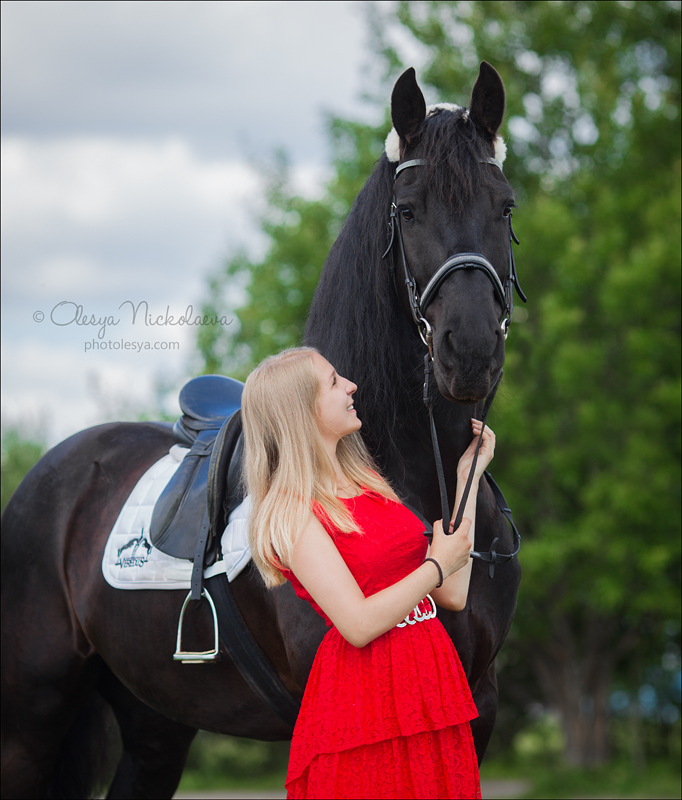  фотосессии с лошадьми ◆ horse and human